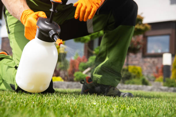 Best Affordable Exterminators  in Osage, IA