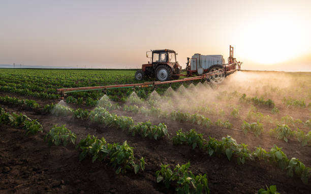 Professional Pest Control in Osage, IA