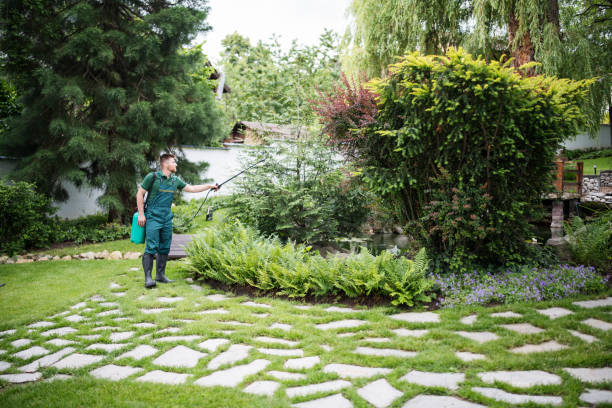Best Exterminator Services  in Osage, IA