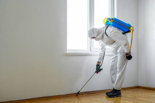 Best Pest Inspection Near Me  in Osage, IA