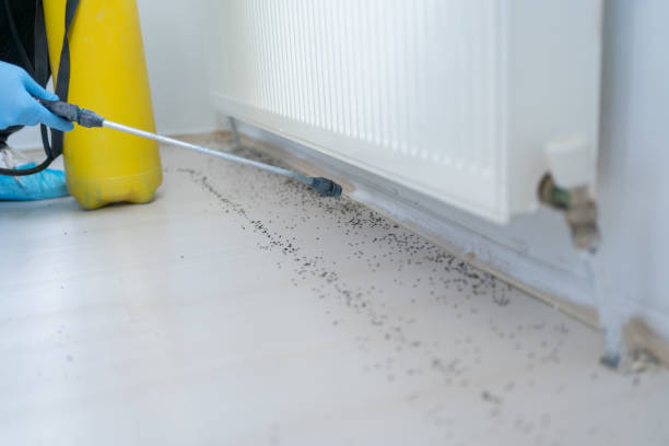 Best Wildlife Control Services  in Osage, IA